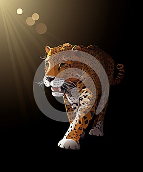 Jaguar in darkness, moonlight - vector