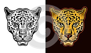 Jaguar head front view two styles black on white and colorful on dark background vector illustration