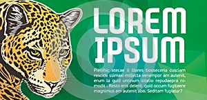Jaguar head green poster