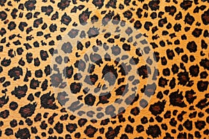 Jaguar hide