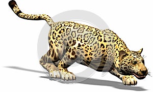 Jaguar on the hunt