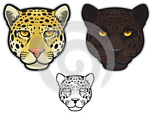 Jaguar or Leopard Faces