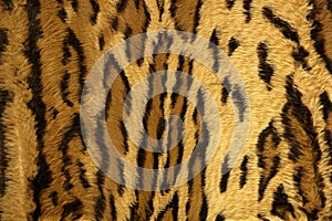 Jaguar leopard fantasy fabric fur texture