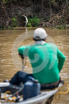 Jaguar pulling yacare caiman watched by boatman