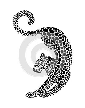 Jaguar spotted silhouette. Vector elegance wild animal graphic illustration. Black isolated on white background