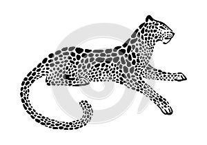 Jaguar spotted silhouette. Vector lying wildcat graphic illustration. Black isolated on white background