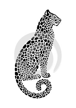 Jaguar spotted silhouette. Vector sitting wildcat graphic illustration. Black isolated on white background