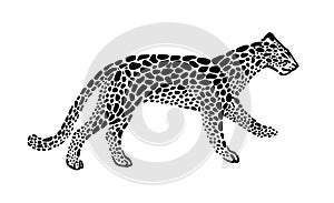 Jaguar spotted silhouette in walking. Vector wild animal graphic illustration. Black isolated on white background