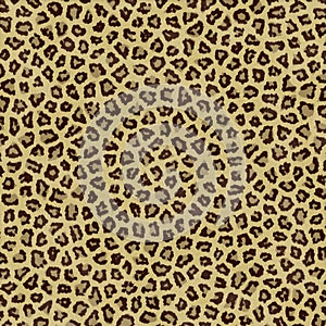 Jaguar Texture Background Fur photo