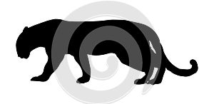 Jaguar vector illustration black silhouette