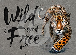 Jaguar watercolor painting with background, predator animals wildlife, wild and free wildlife print for t-shirt