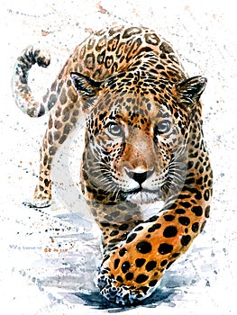 Jaguar watercolor predator animals wildlife