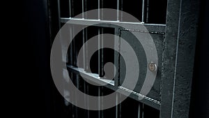 Jail Cell Door And Welded Iron Bars