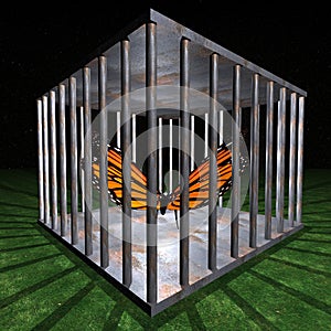 Jail - Prison for one butterfly