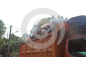 Jakarta, Indonesia - 06082020: Temporary residents` garbage shelter. Blue barrel to store trash. Trash clinic and household trash.