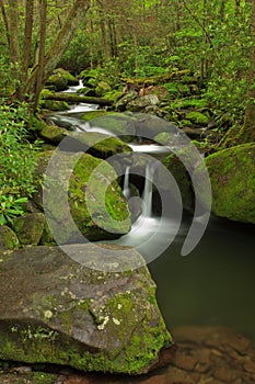 Jake Creek Cascade