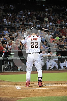 Jake Lamb