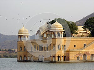 Jal Mahal close-up with birds, Water Palace on Man Sagar Lake in Jaipur, Rajasthan, Indian culture