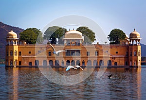 Jal Mahal is a palace on Man Sagar Lake, Jaipur, India