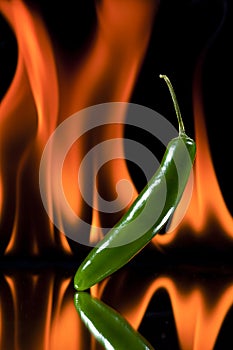 Jalapeno