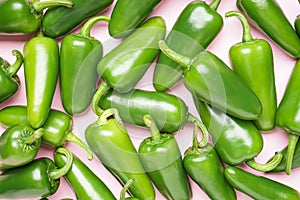 Jalapeno chili peppers, on a pink background, flat lay. Close-up