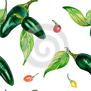 A pequeno pimientos. picante acuarela sin costura patrón en blanco 