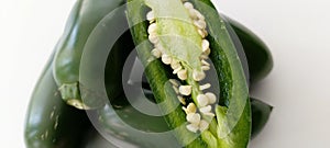 Jalapeno pepper in white background detail