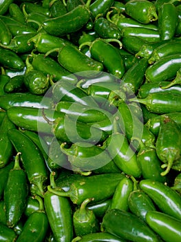 Jalapeno Peppers