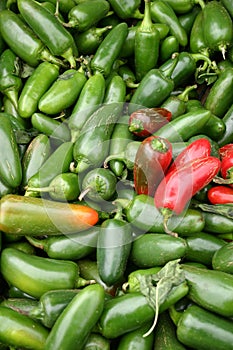 Jalapeno Peppers