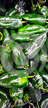 Jalapeno peppers, texture background