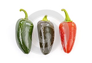 Jalapeno Peppers in Various Stages of Ripening
