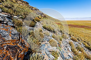 Jalgiztobe Mountain. Kosh-Agachsky district of the Altai Mountains