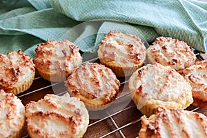 Jam and coconut tarts also known as Hertzoggies in South Africa