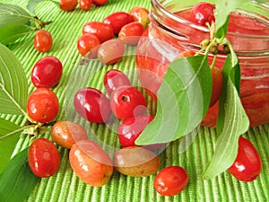 Jam with fruits of cornel