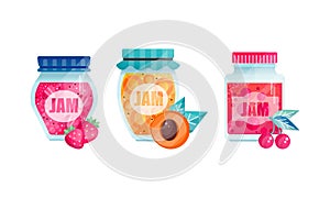 Jam or Marmalade as Fruit Preserve in Glass Jar Vector Set