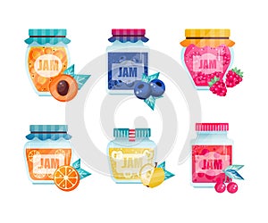 Jam or Marmalade as Fruit Preserve in Glass Jar Vector Set