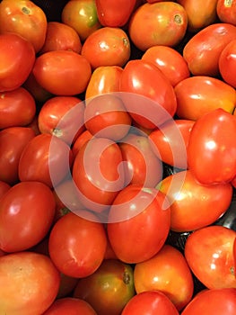 Jam Tomatos