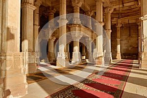 Jama Masijd mosque in complex Sarkhej Roza in India photo