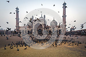 Jama Masjid, Delhi, India