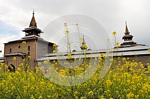 Jama Masjid Mosque, Srinagar, Kashmir, India