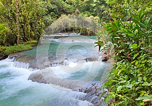 Jamaica. Dunn's River waterfalls