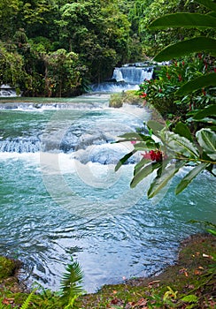 Jamaica. Dunn's River waterfalls