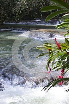 Jamaica. Dunn's River waterfalls