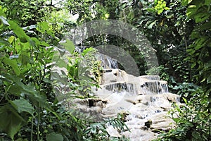 Jamaica Konoko falls park a waterfall in the middle of a rainfor