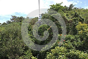 Jamaica Mystic Mountain cable car in the rainforest