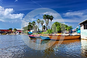 Jamaica. National boats on the Black river.