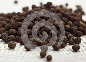 Jamaica Pepper, pimenta dioica, Berries against White Background