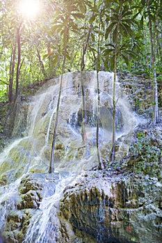 Jamaica. Small waterfalls in the jungle