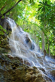 Jamaica. Small waterfalls in the jungle