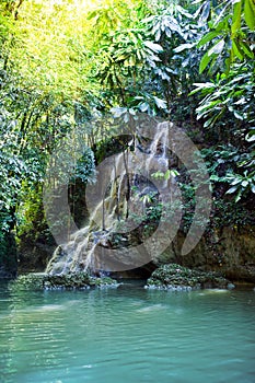 Jamaica. Small waterfalls in the jungle